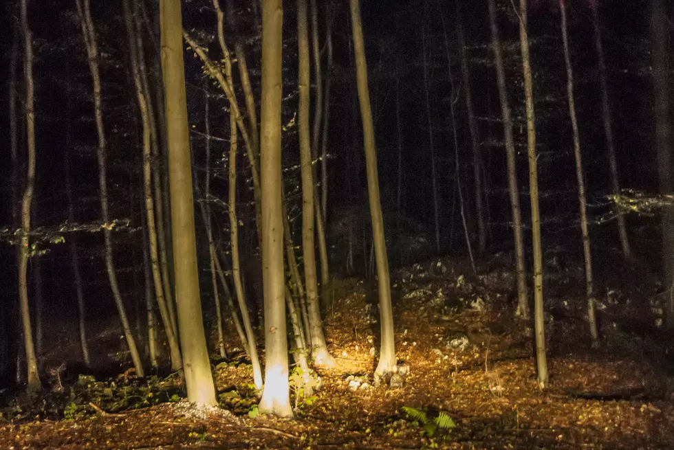 Nonverbal Hudson Valley 2-Year-Old Goes Missing in New York Woods