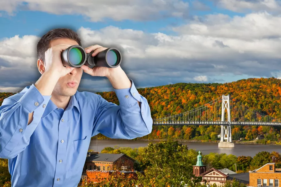 Experience Autumn Magic: Leaf Peeping In The Hudson Valley
